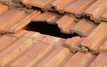roof repair New Row