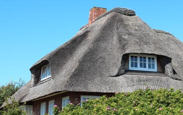 thatch roofing New Row